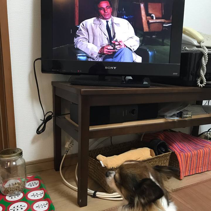 D46d7b68 ea81 4355 94a4 6b09f4748f10 1547299522173