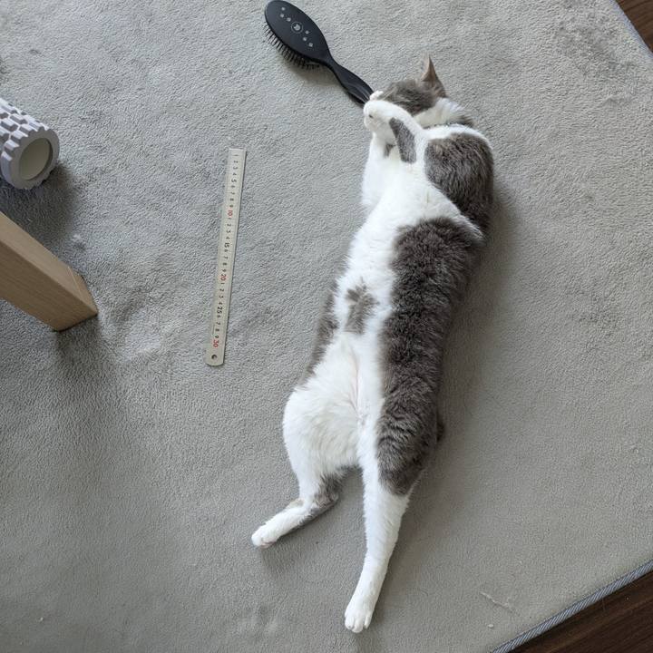 D46d8cb9 521c 4086 95d1 e4b86b7c01dd 1756091492913