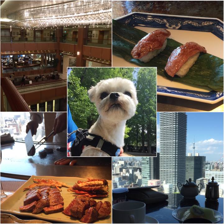 D46d9876 db0c 43ce bcb7 2cad3e3957a5 1525420134918