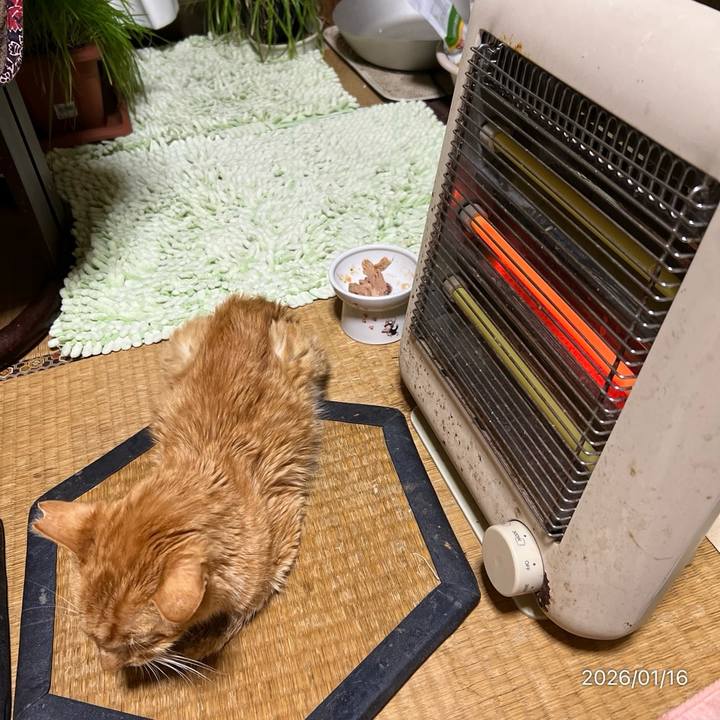 D46daf0b 250a 48c6 bcbb d4b3879fe9cc 1768514429372