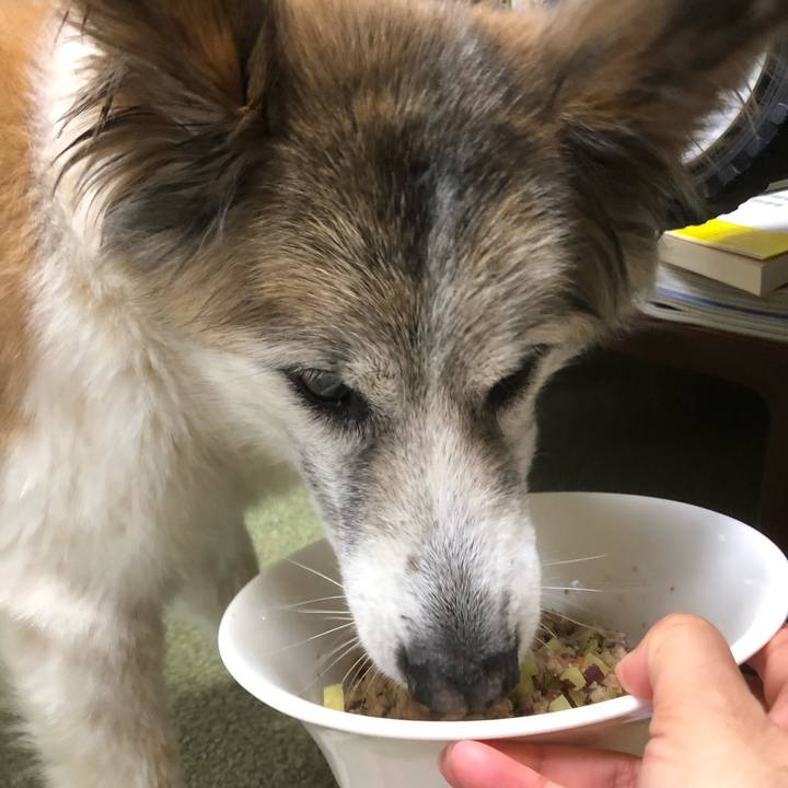 D46dc2ba af34 45ea b9bd e4aba0e98ad2 1537847014159