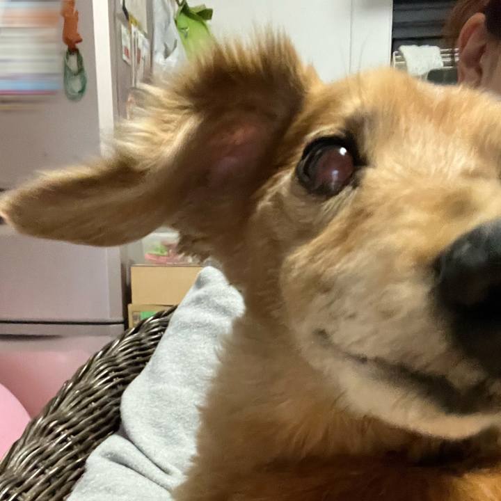 D46dcb9e ba58 4c4d b363 9bdd0efebef9 1641561017414