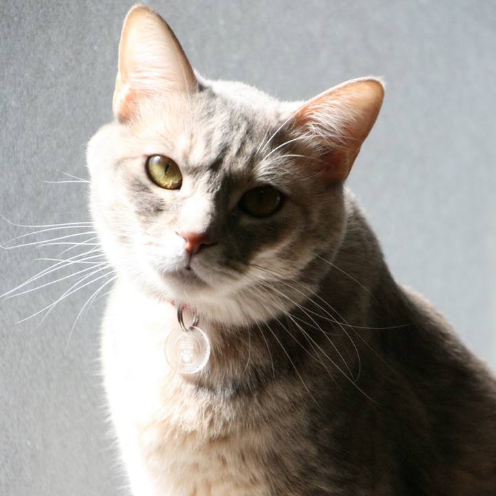 D46dd192 5a84 4c91 a3e2 eaa9b31db226 1519880156467