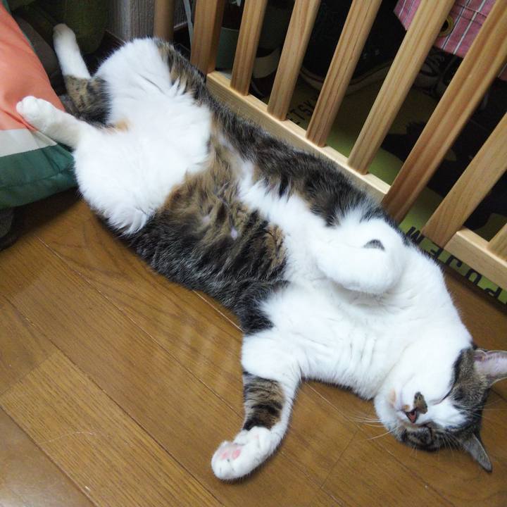 D46ddfb4 1eee 4027 85c6 f6261c2672ec 1660533613777