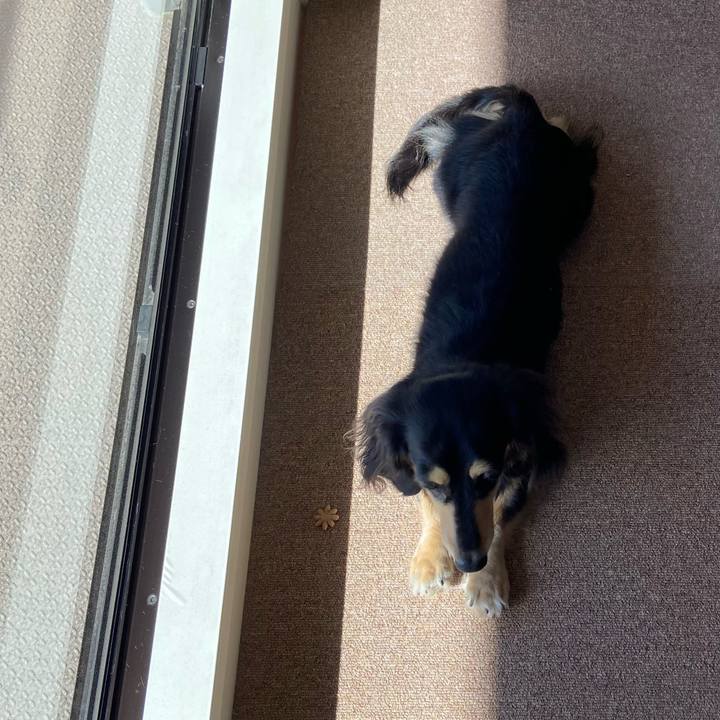 D46df394 5331 40f5 97d1 9fceb2015c6c 1708908433438