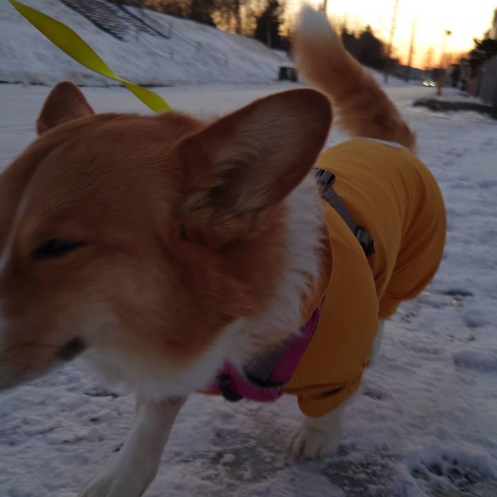 D46df4af cc14 434a 85c4 c2d816c94d37 1766447296860