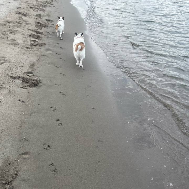 D46df9bd 3eea 4d0e 9233 711720a85143 1726012909605