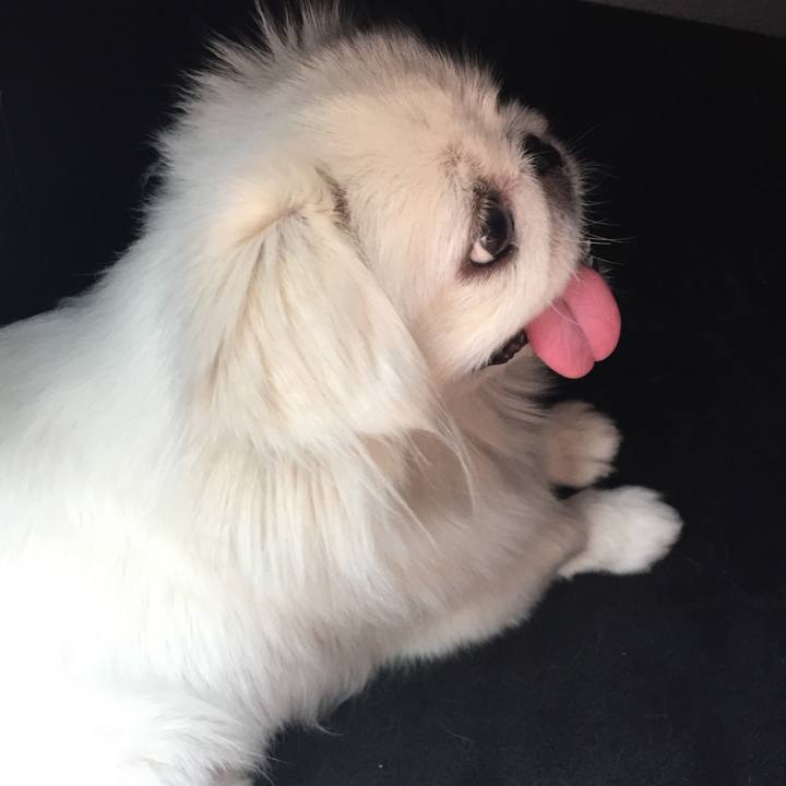 D46e5545 572c 4929 94f8 6086dffff0f1 1558779540203