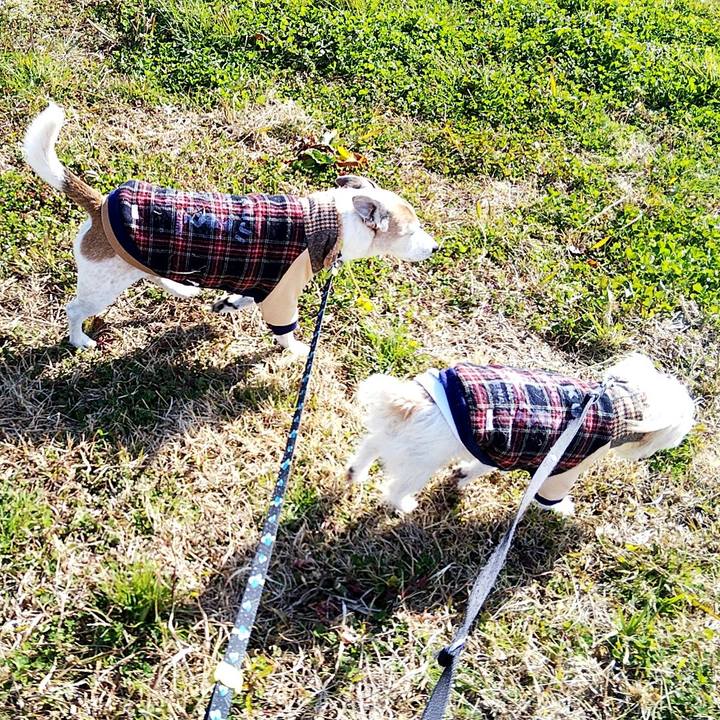 D46e595f 4bd0 4fcc ad66 b5e3a07e3785 1581922842723