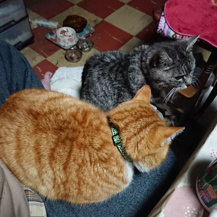 D46e70a7 aba2 4fa1 aba4 b47c29ca6eda 1581022296867