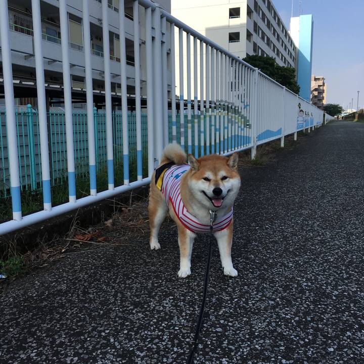 D46e7a78 56d3 4951 a7ed 952b72a51238 1567724442815