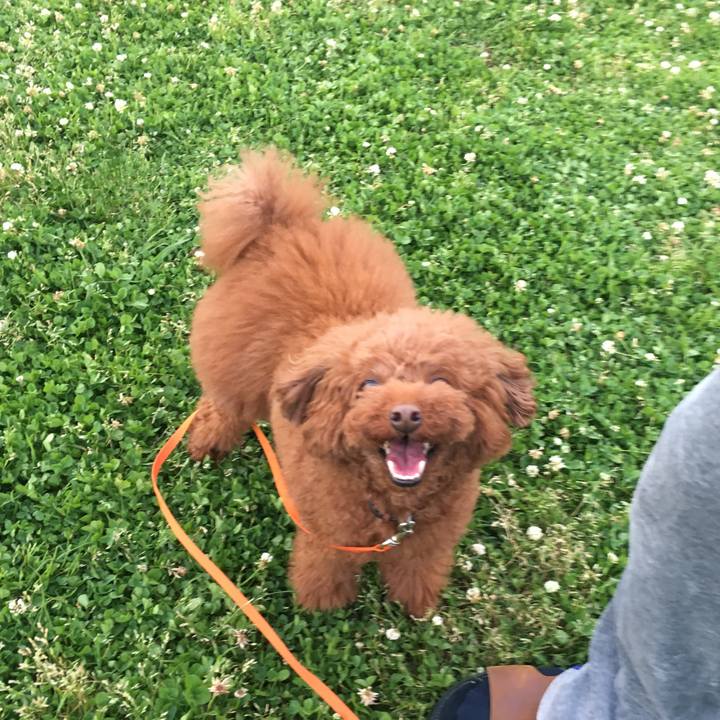 D46e8361 e5d1 4505 957a f4a7f941cf98 1526815271858