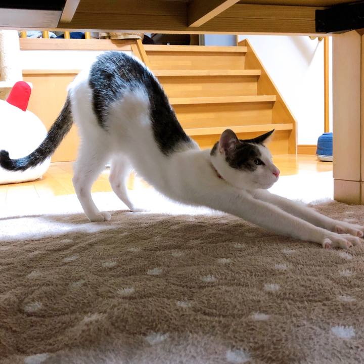 D46e8b6c aeb5 4407 866b 1e0c4b68690f 1577366779177