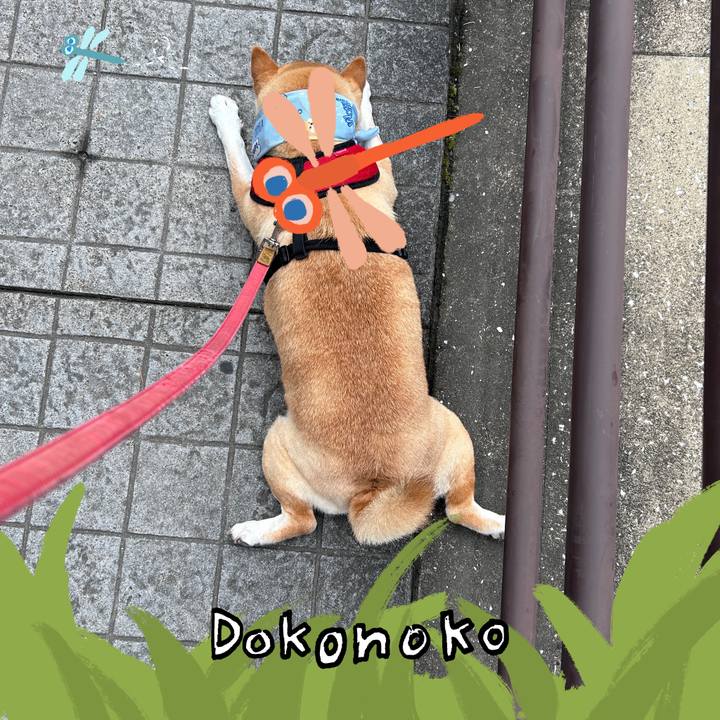 D46e8bf8 f3c6 4c04 a86c a6202ab8a140 1726920754015