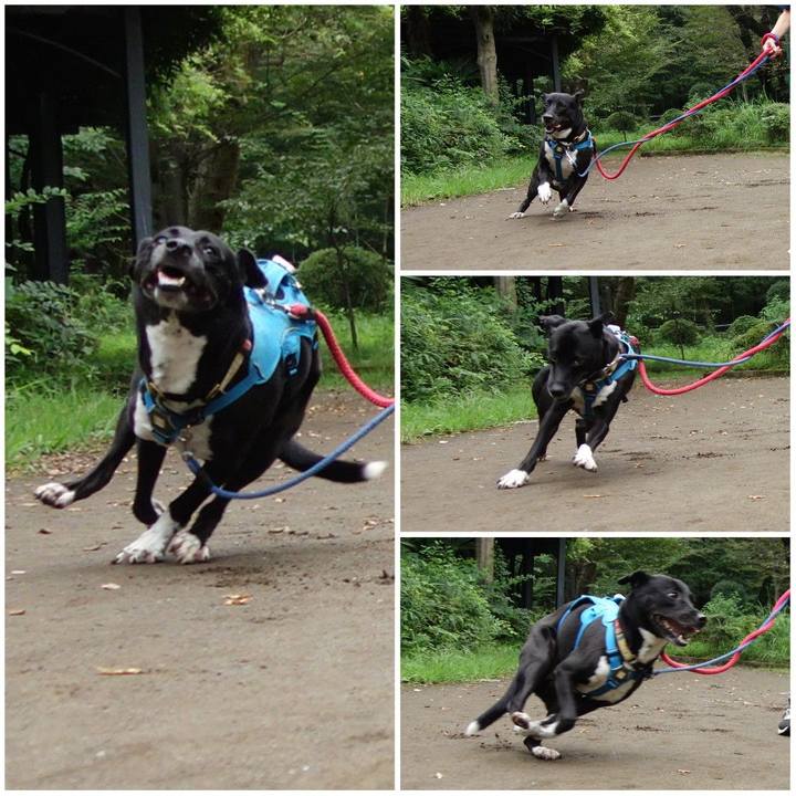 D46ed716 ac61 4bf1 828b 9467c8562ef5 1630887684960