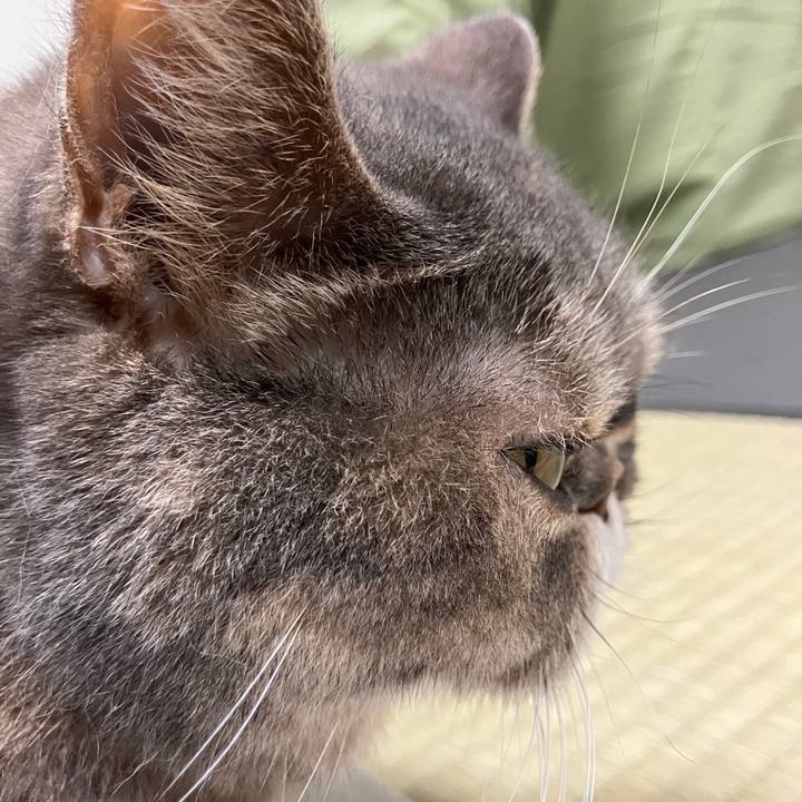 D46f1f91 d579 4942 9b79 e23cc0704057 1772682509239