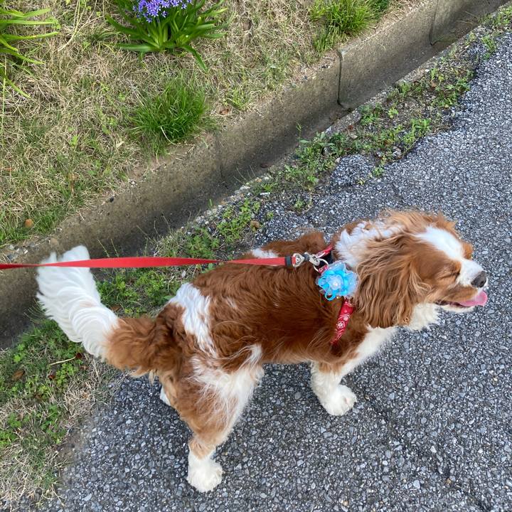 D46f2496 ed7a 4baa bdcf 3418e6c6eb7a 1746054144288