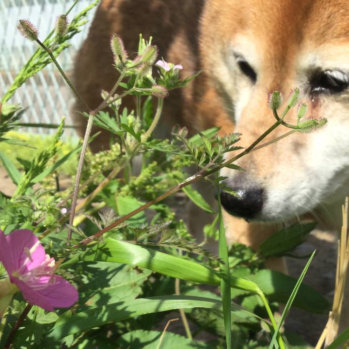 D46f35fc 479a 4dea 989f 9046dded59f8 1620519868184