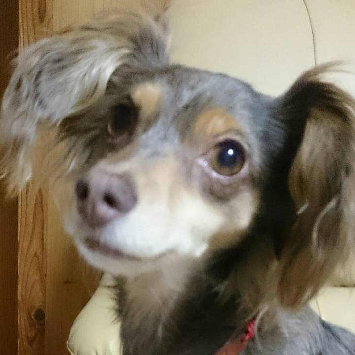 D46f75ed aa28 4d81 b6f5 0fd344d6d0d3 1516362101306