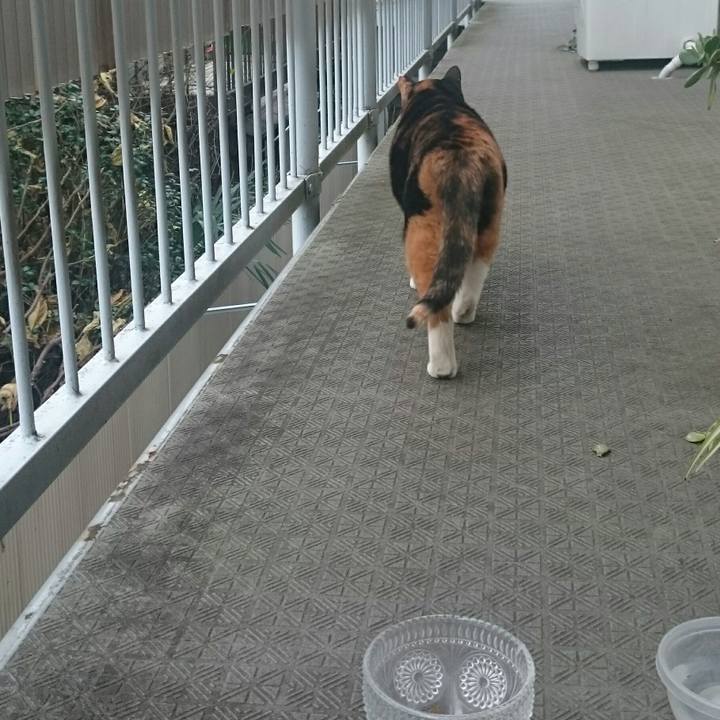 D46f7699 6cb7 4ae4 9bc7 2b1c52ccdaab 1513405609127