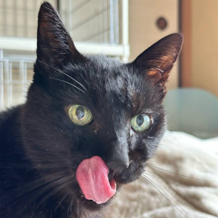 D46fc260 9f47 4a99 8c62 dd66d8e6899c 1710640486849