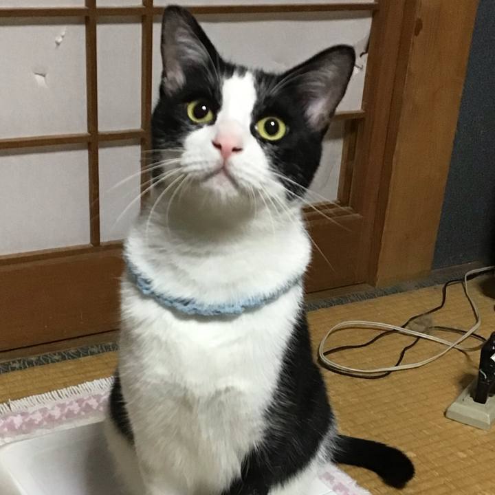 D47006a2 992b 4bba 83cb acd6790f076b 1665580351639