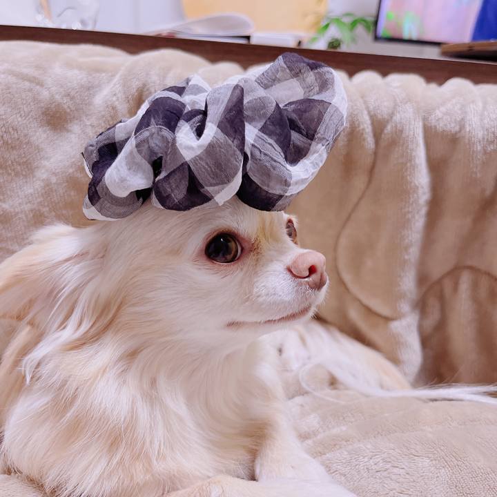 D47068c5 d8a1 4a3f 9a1c 7116e6c98e34 1680055070130