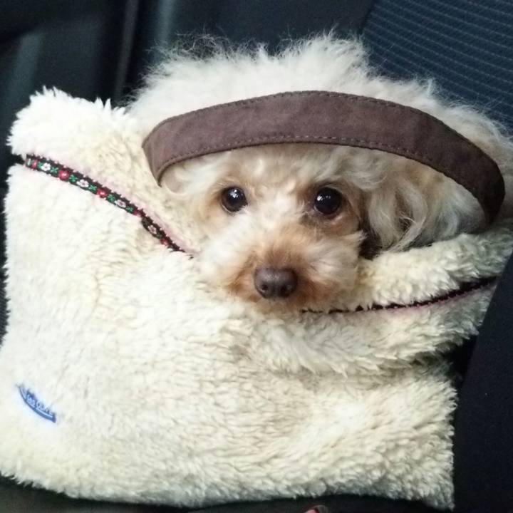 D4707107 86dd 4f1b 8021 81fed2eb1404 1515921116245