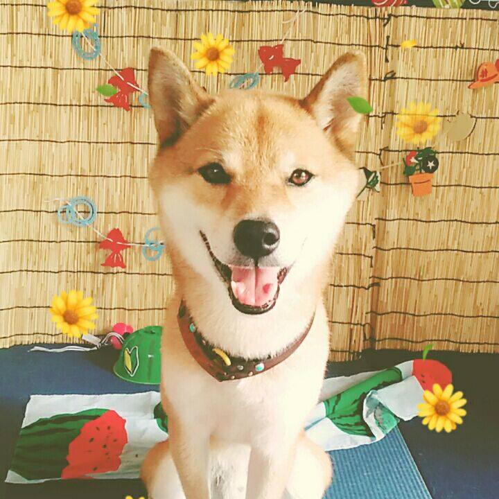 D47083f2 b350 4f8d 9d18 cdb164741f09 1565934006633