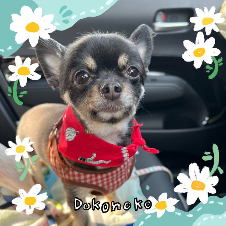 D47087a8 c297 4fb5 9f8b affb91557ae1 1712233153654