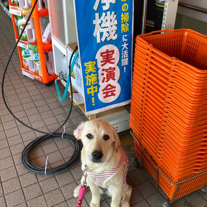 D47099a9 2906 4098 8618 e3bc22da8604 1618881721209