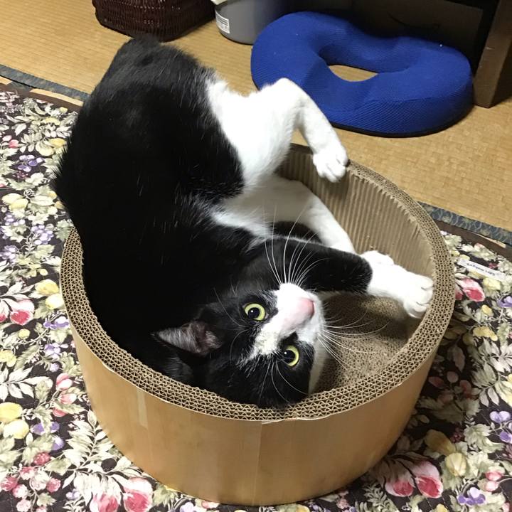 D470afea 0b32 40a5 bd75 9bda8cbd3935 1745583791356