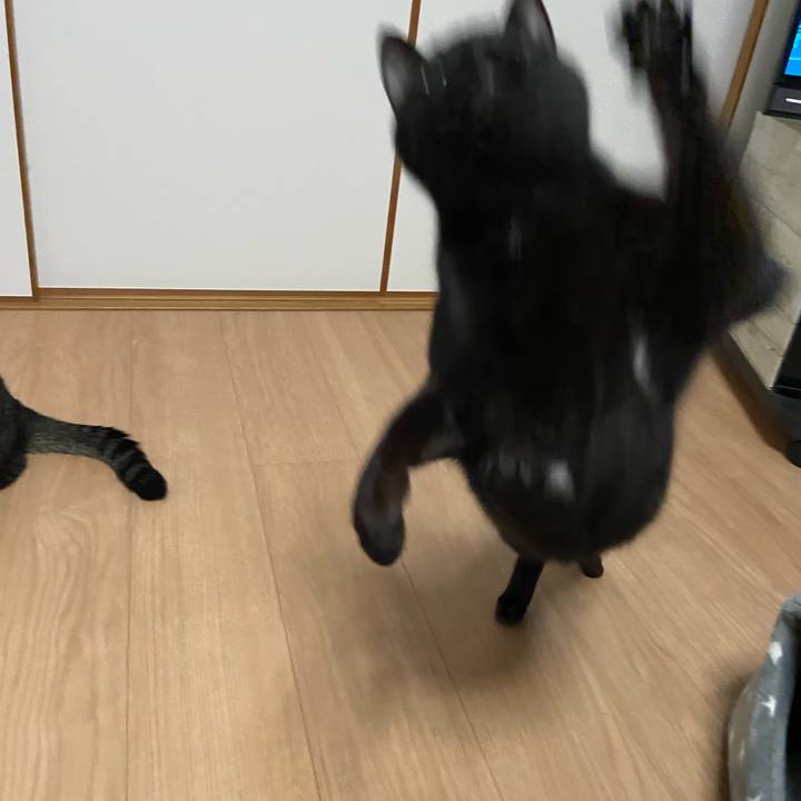 D470d6da 81c1 47dd 8cb4 9c29301c92a9 1641212799003