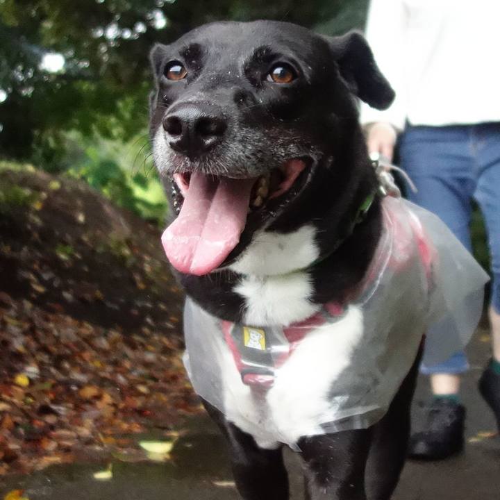 D470f609 a671 447a 9095 55d548654139 1663892831004