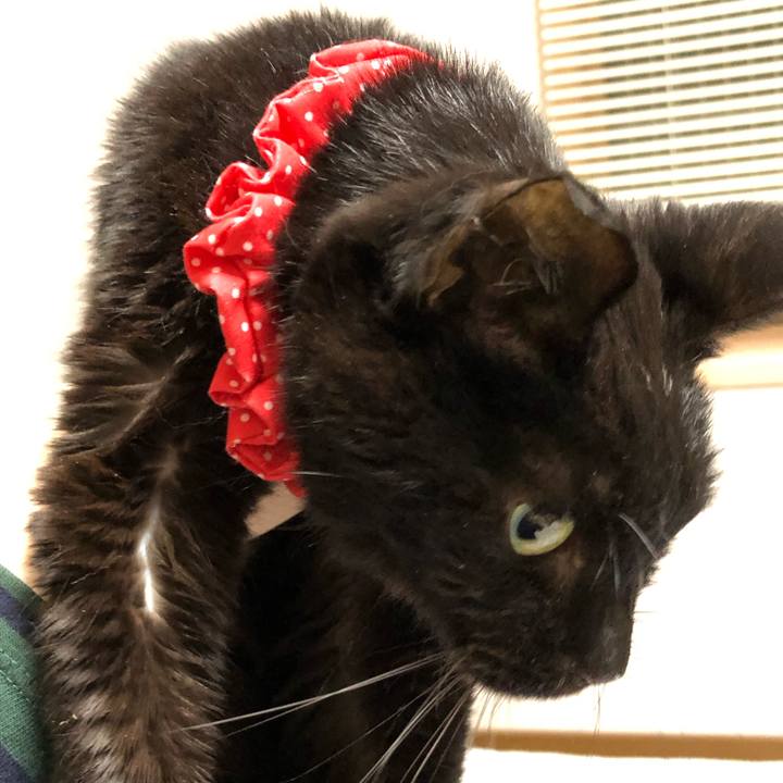 D4713a9e 0ebf 4399 9147 c7150f678580 1557403247736