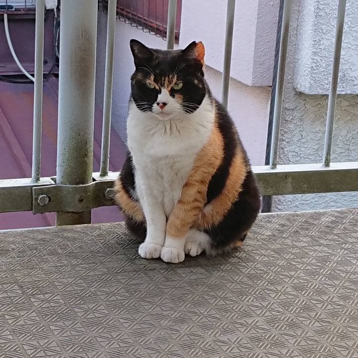 D471531d fe48 4b33 8029 20fcb9b709e3 1622497435181