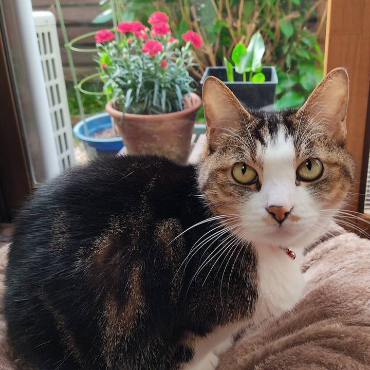 D47169ec b032 4f8f a07b 02b8f880733e 1652136492627