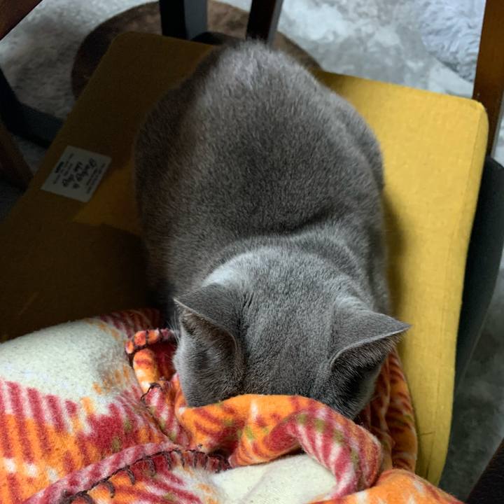 D4717bce b933 4d78 8df1 bf977b178dab 1669377894635