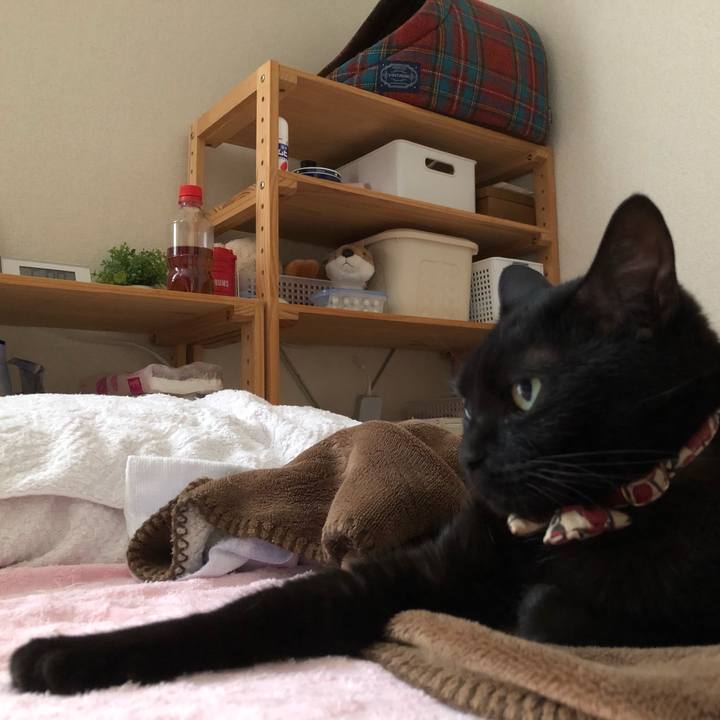 D47198ea fcfd 44d5 90cc e8e7cd144a79 1591932910903