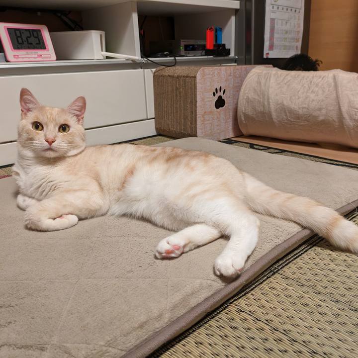 D471c52b bc96 4706 b422 004435a5f65c 1687347666693