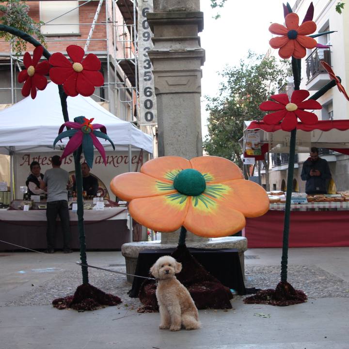 D471c622 4bd3 4c65 bddd 5c158f90b77c 1526420963270