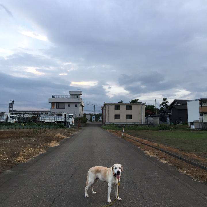 D471c77e 3868 456b 8683 fac02726d3a3 1535250736088