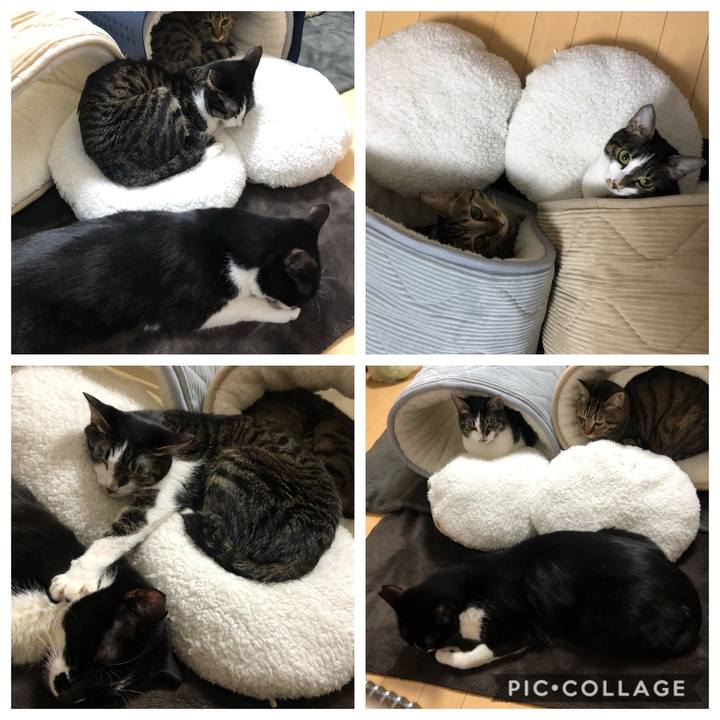 D4724b05 4aeb 40d4 a144 d2e347121d5d 1578750574514