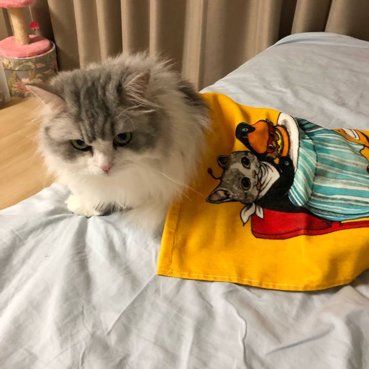 D4725034 f193 466b 9492 b04d00d2021e 1567302975643