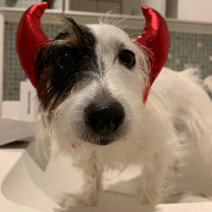 D4725bbf d8c8 4635 9d05 6164982ffdc7 1667047899903