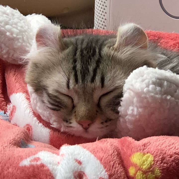 D472a782 eb16 49a4 80a4 f9ab68d4817b 1519022390193