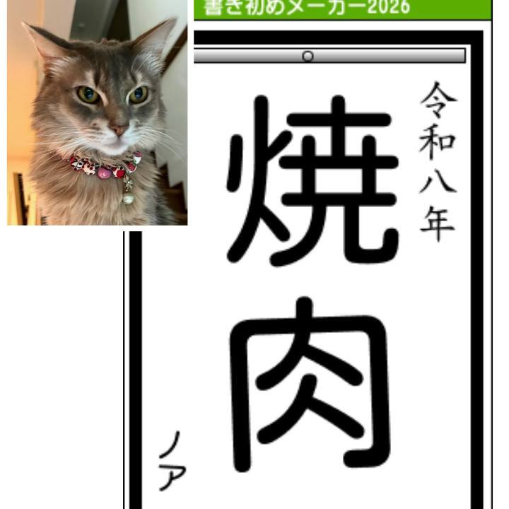 D472f8db 7bb5 4dbe 8bc4 fb90a97c2ccd 1767424927331