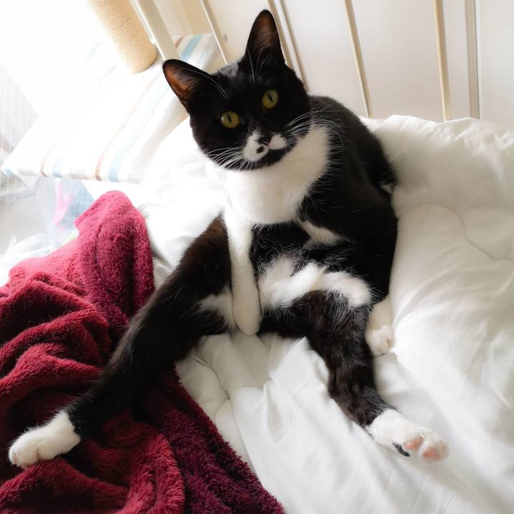 D473015d 8ca9 4a3d 8ef9 d2579f9c35cb 1552390520606