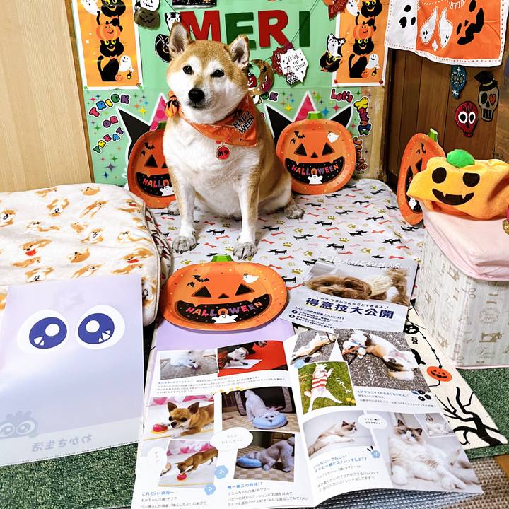 D473592e d485 4222 b39e b823b8b59f60 1666595809255