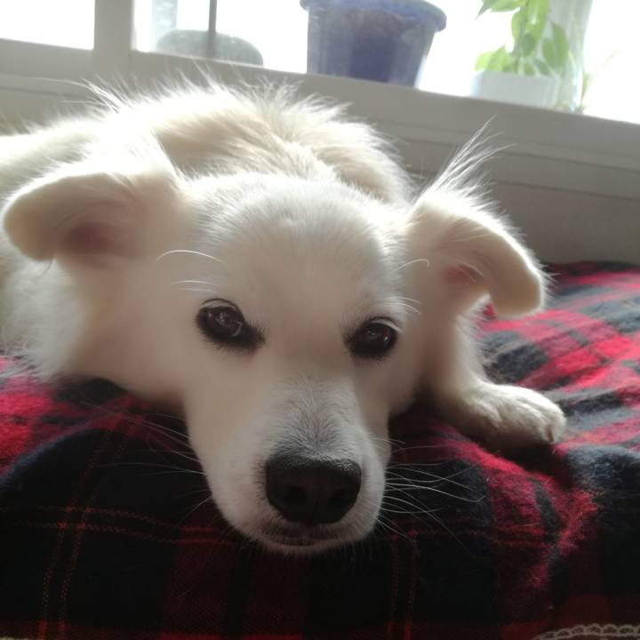 D473611a 250f 4e98 9bc0 700b328a7009 1509498347200